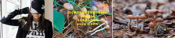 кокаин колумбия Кинешма