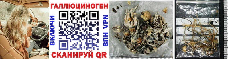 Купить закладки  Люберцы  Галлюциногенные грибы MAGIC MUSHROOMS 